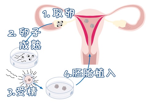 靠谱代怀包成功